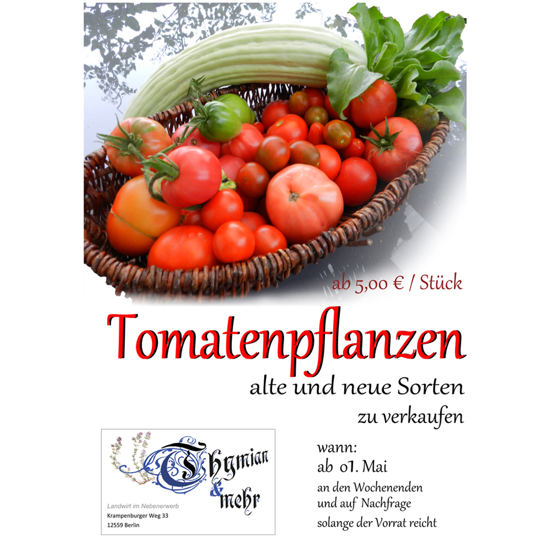Tomaten 2025